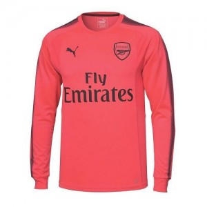 Именная вратарская футбольная футболка для детей Arsenal Petr Cech Гостевая 2017 2018 короткий рукав S (рост 116 см)